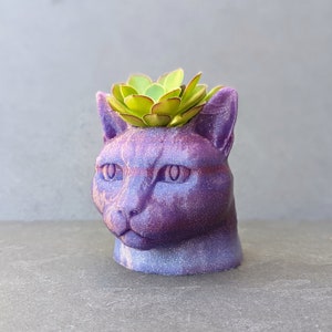 May include: Purple cat-shaped planter with a green succulent plant growing inside. The planter has a textured surface and a detailed cat face.