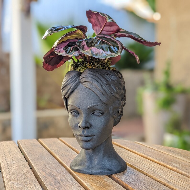 Goddess Bust Planter Lady Head Pot in Black Wood Etsy