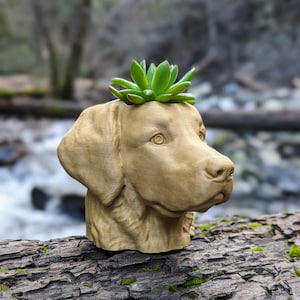 Golden Retriever Planter