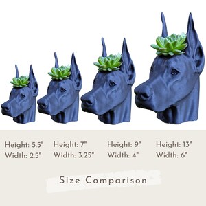 Doberman Planter, Cropped Ears image 7