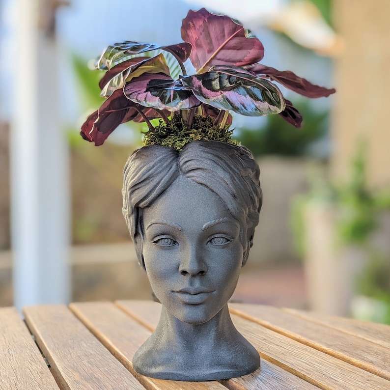 Goddess Bust Planter Lady Head Pot in Black Wood Etsy