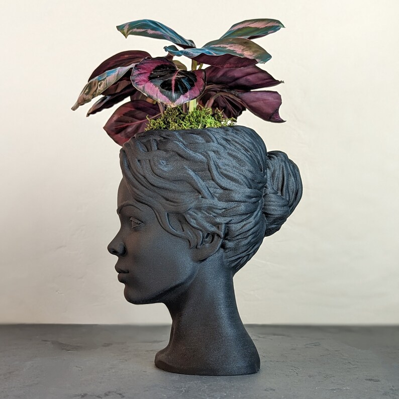 Goddess Bust Planter Lady Head Pot in Black Wood Etsy