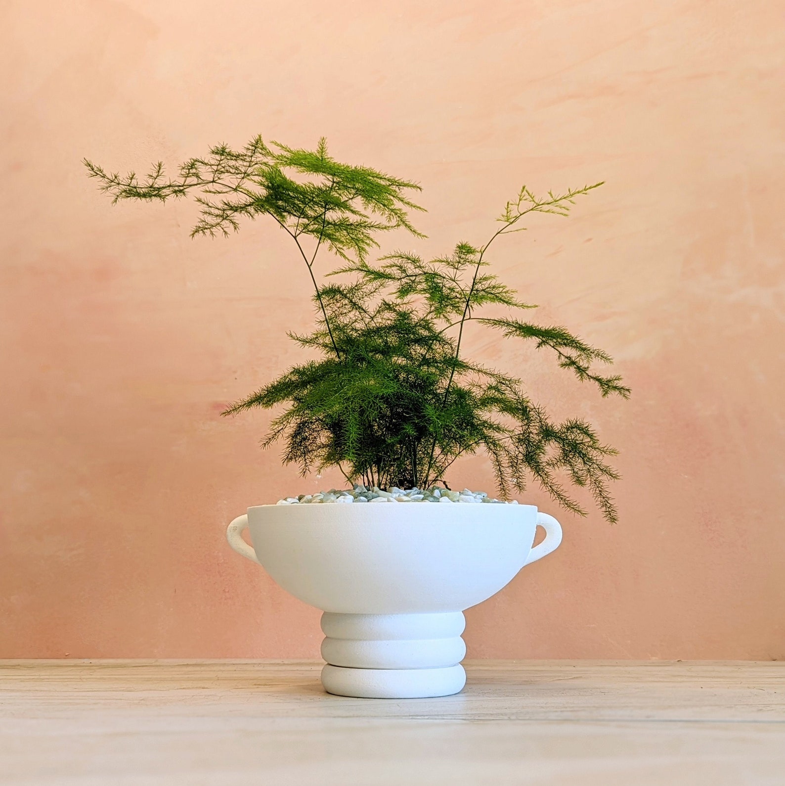 White Wood Pedestal Planter with Matching Drip Tray