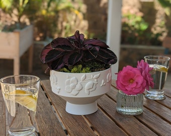 Honey Bee Planter with Drip Tray