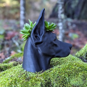 Doberman Planter, Cropped Ears image 8