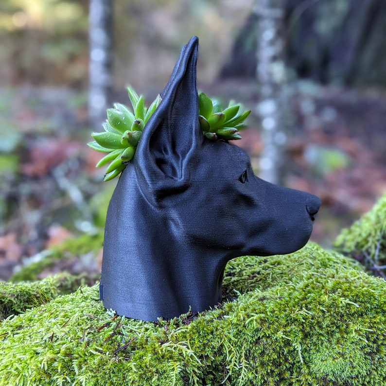 Doberman Planter, Cropped Ears image 8