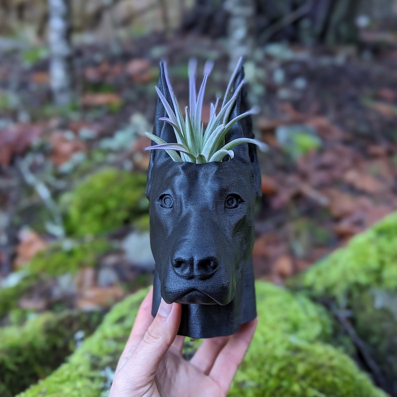 Doberman Planter, Cropped Ears Medium - 7"H