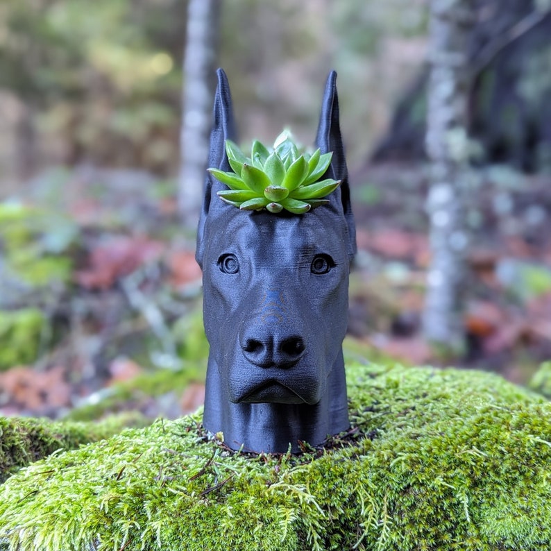 Doberman Planter, Cropped Ears image 3