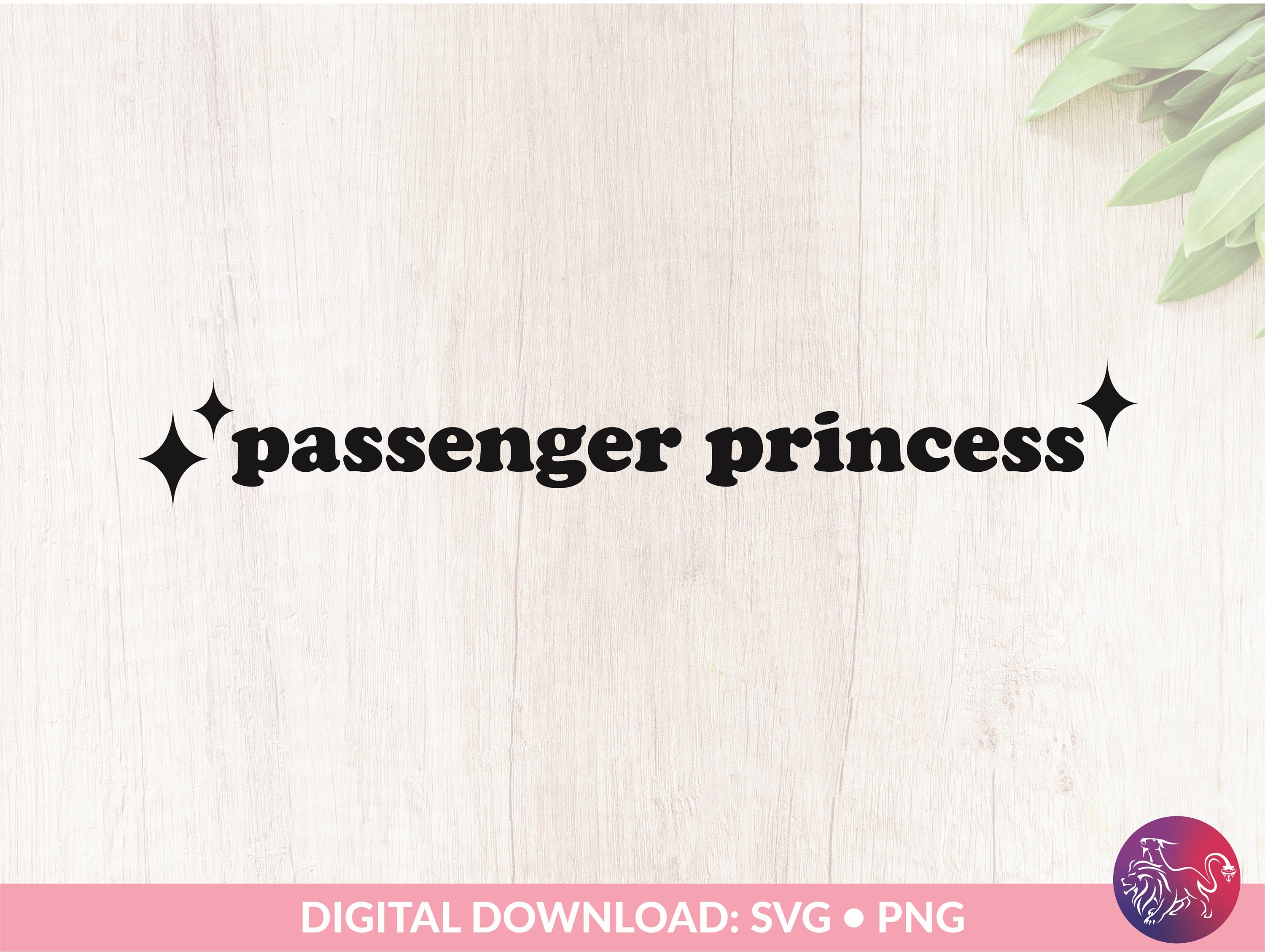 Combo 3Pcs Passenger Princess Colorful Sticker Passenger Princess Style Ver  11