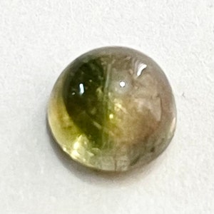 Natural Bio Tourmaline Cabochon Round AAA+ Quality 5mm Approx, 0.55 carat