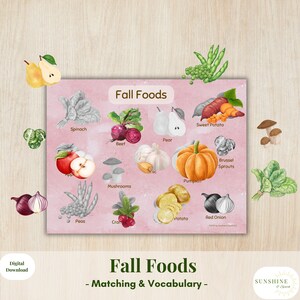 Combinación de alimentos de otoño, Estudio de unidad de estaciones preescolares, Montessori de otoño, Preescolar de otoño, Aprendizaje escolar para niños, Libro ocupado imprimible de alimentos de temporada