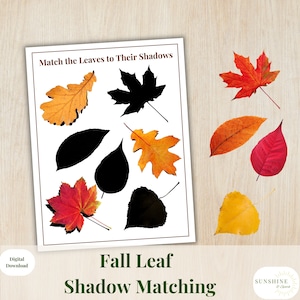 May include: A printable worksheet for kids to match fall leaves to their shadows. The worksheet has a title that says "Match the Leaves to Their Shadows" and "Fall Leaf Shadow Matching".
