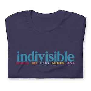 May include: A navy blue t-shirt with the word "indivisible" printed in blue. Below the word are the words "kindness", "hope", "equity", "inclusion", and "peace" printed in different colors.