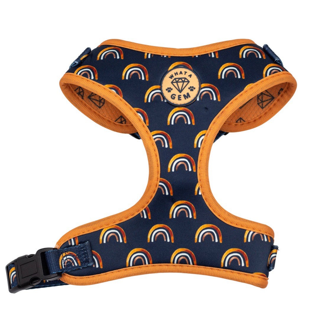Puppy Dog Harness over the Rainbow Etsy