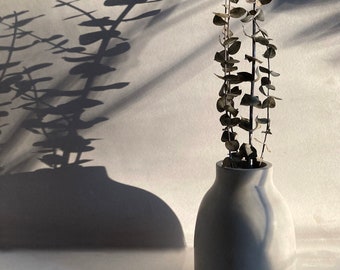 Può includere: Un vaso grigio arrotondato contiene rami di eucalipto secchi. Il vaso proietta un'ombra su una superficie bianca, con l'ombra della pianta che si estende sullo sfondo. L'immagine è illuminata con luce naturale.