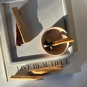 Minimalist Concrete Palo Santo Holder: Round Smudge Dish