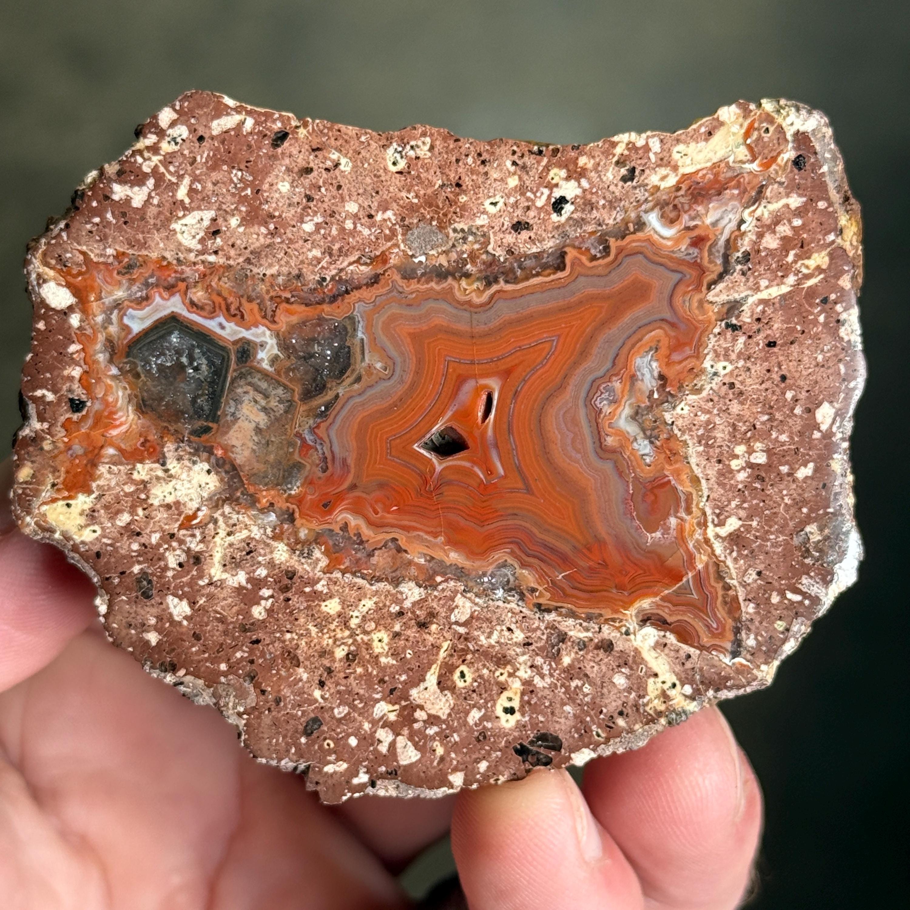 5.1oz Polish Thunder Egg Agate | Polished