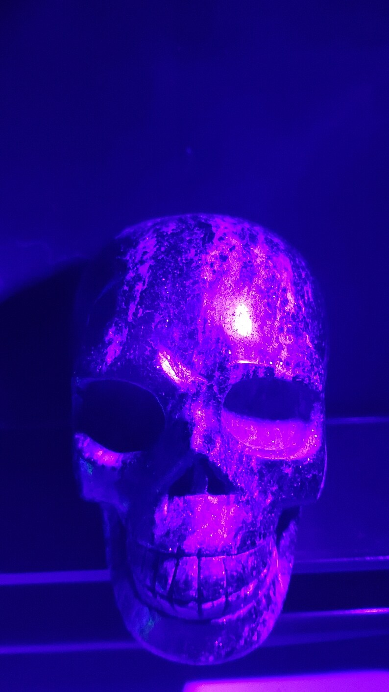 Puede incluir: Un cr&aacute;neo blanco con una superficie texturizada, iluminado con una luz p&uacute;rpura brillante.