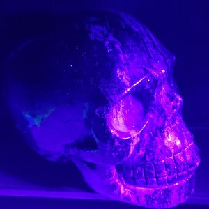 Puede incluir: Un cr&aacute;neo blanco con una superficie texturizada, iluminado con una luz p&uacute;rpura brillante. El cr&aacute;neo est&aacute; colocado sobre una superficie oscura con un brillo p&uacute;rpura.