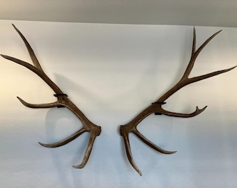 Elk Shed Mounts!  Hang your Elk Sheds with these Sturdy Mountable Brackets!