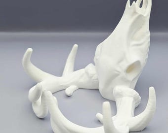 Deer Skull Business Card Holder!