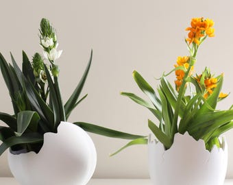 Cracked Egg 3D Printed Planter – A Unique and Playful Home Décor Piece!
