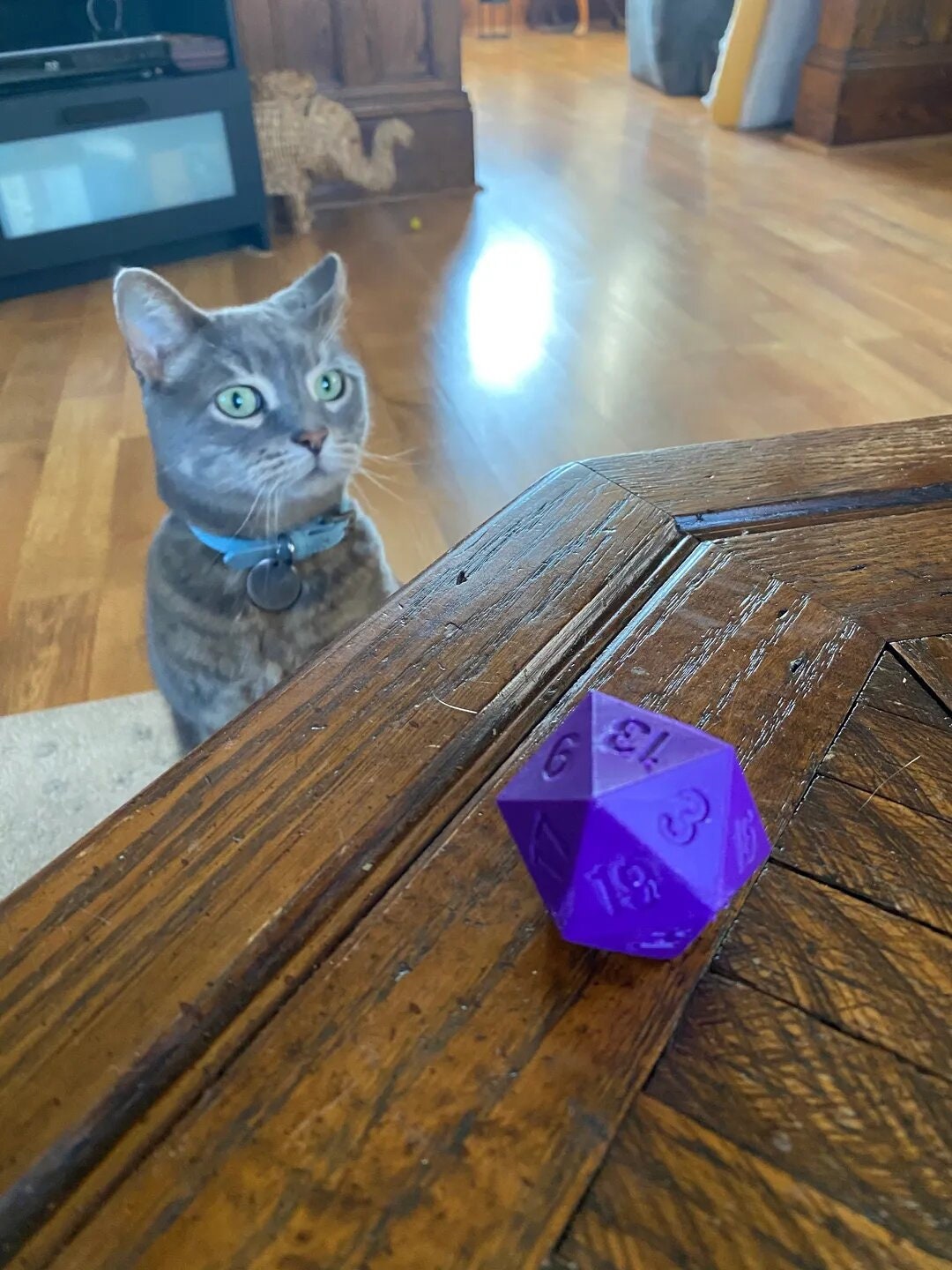 D20 Cat Toy and Treat Dispenser! Let your cat roll this D20 Score a Crit and receive their treat!