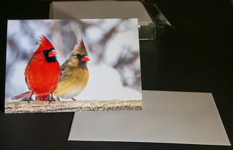 Cardinal Collection, Blank Inside Note Card, All Occasion, Note Card