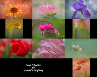 Stunning Floral Greeting Cards Collection