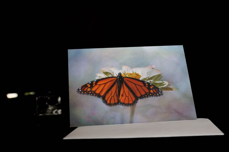 Butterfly Collection, Photo Greeting Card, Blank Inside, All Occasion ...