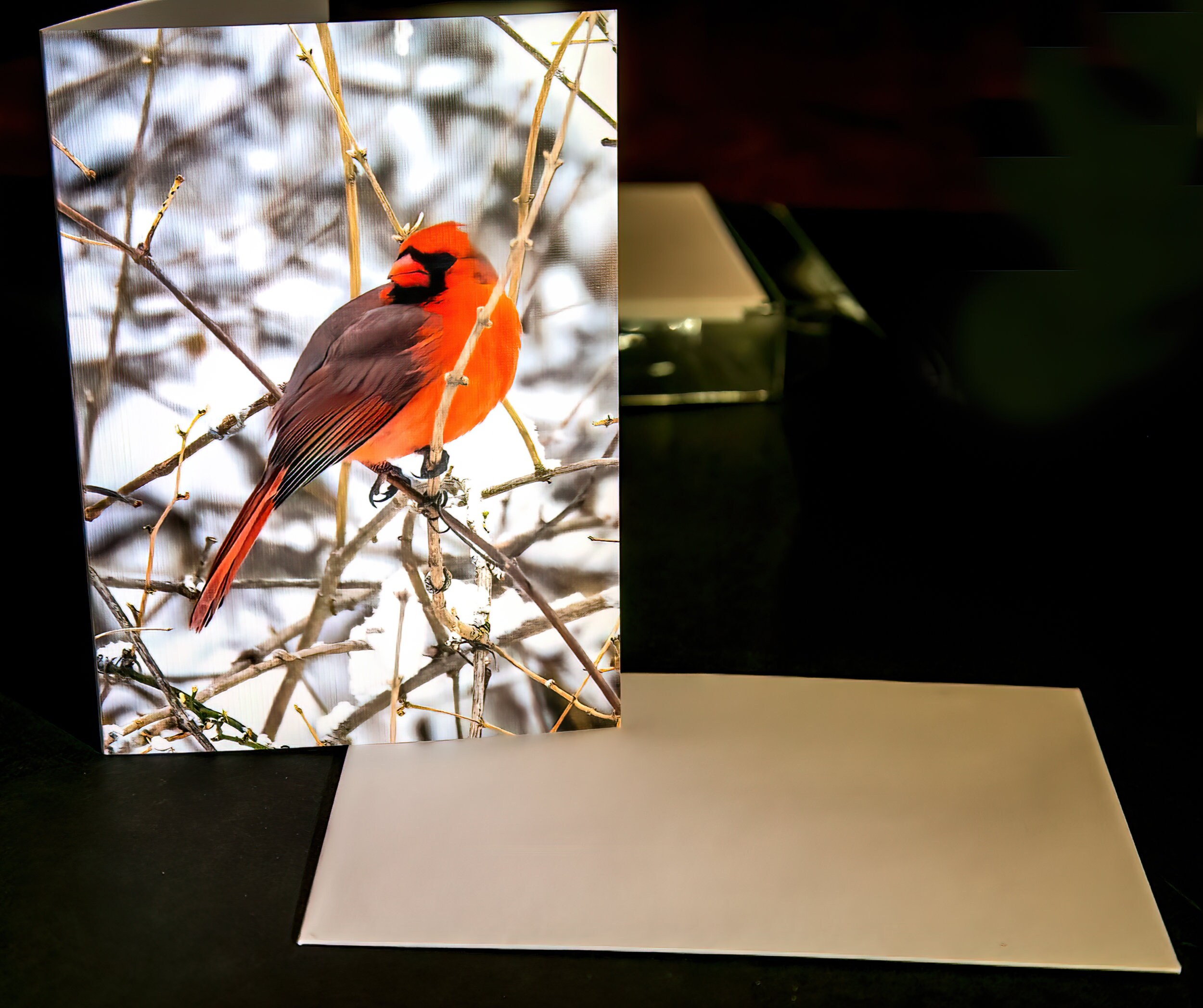 Cardinal Note Paper Cardinal Collection, Blank Inside Note Card, All Occasion, Note Card ...