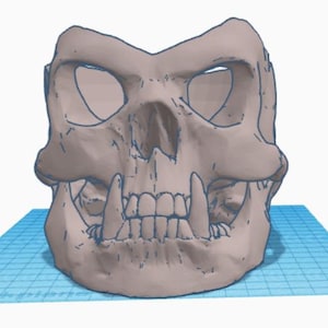 Peut inclure: Modèle d'un crâne imprimé en 3D avec de grandes dents. Le crâne est de couleur brun clair et repose sur une grille bleue et blanche.