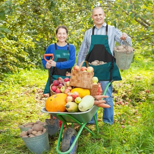 Fruit Picking Bag Adjustable Harvest Garden Apron for Outdoor Orchard  Apples