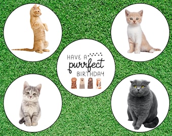 Cute Cat Birthday Edible Precut Image Topper