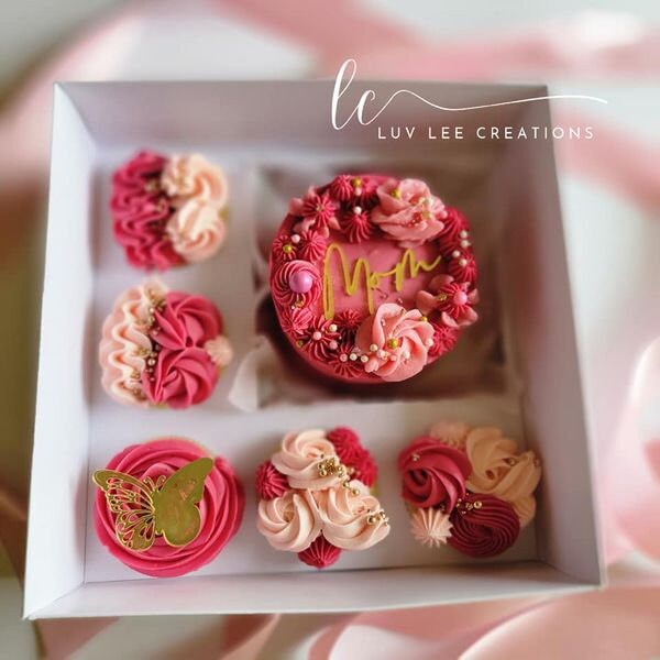 Cake and Cupcake Box Etsy