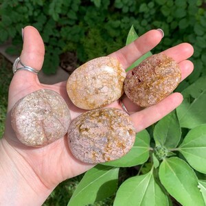 Flower Agate Palm Stones
