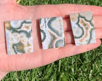 Ocean Jasper Cabochon