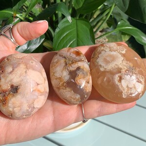 Flower Agate Palm Stone