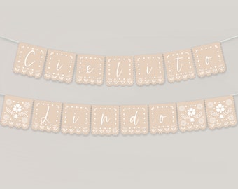 9 Pieces White Papel Picado Banner Cielito Lindo Party Decoration For Parties Wedding Baby Shower Bautizos 16 4 Ft