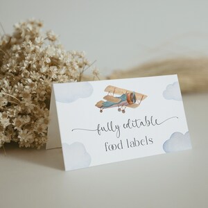 Airplane Birthday Food Tent Cards, 1st Birthday Party Birthday Food Cards, Vintage Airplane, Editable Baby Boy Food Tents, Aviation, APF001
