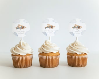 Airplane Birthday Cupcake Toppers, 1st Birthday Party Toppers, Vintage Airplane, Editable Baby Boy Birthday Toppers, Aviation, APF001