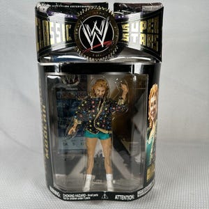 WWE Classic Superstars Series 11 The Fabulous Moolah Action Figure Jakks 2006, Vintage Wrestling Action Figure Wwe Action Figure, Wwe Gift