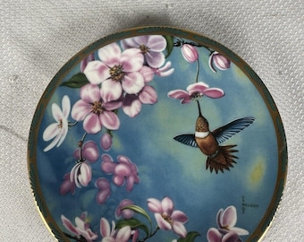 Vintage 1990 pickard rode kolibrie decoratieve plaat Cyndi Nelson 6,5", decoratieve plaat, kolibrie cadeau, kunstplaat, vogelplaat