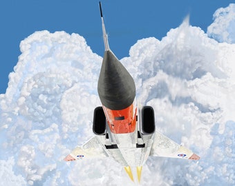 Buzzing Buffalo - Oil Painting*