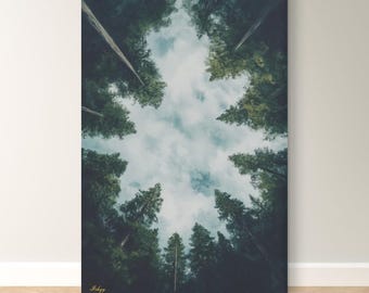 May include: A vertical canvas print featuring a view looking up through tall evergreen trees towards a cloudy sky. The trees are dark green, and the sky is a mix of blue and white. The print has a matte finish.