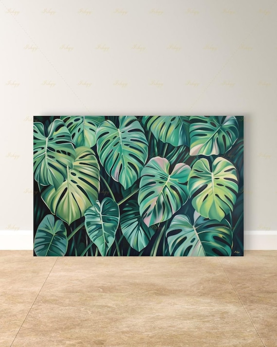 philodendron gezackte blätter Philodendron Monstera White Wave - Philodendron white wave main image 1