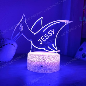 Kids Personalized Acrylic Night Light Dinosaur for Kids Perfect Birthday Gift for Girls or Boys Custom Name Handmade Led Kids Bedroom Decor Style 4