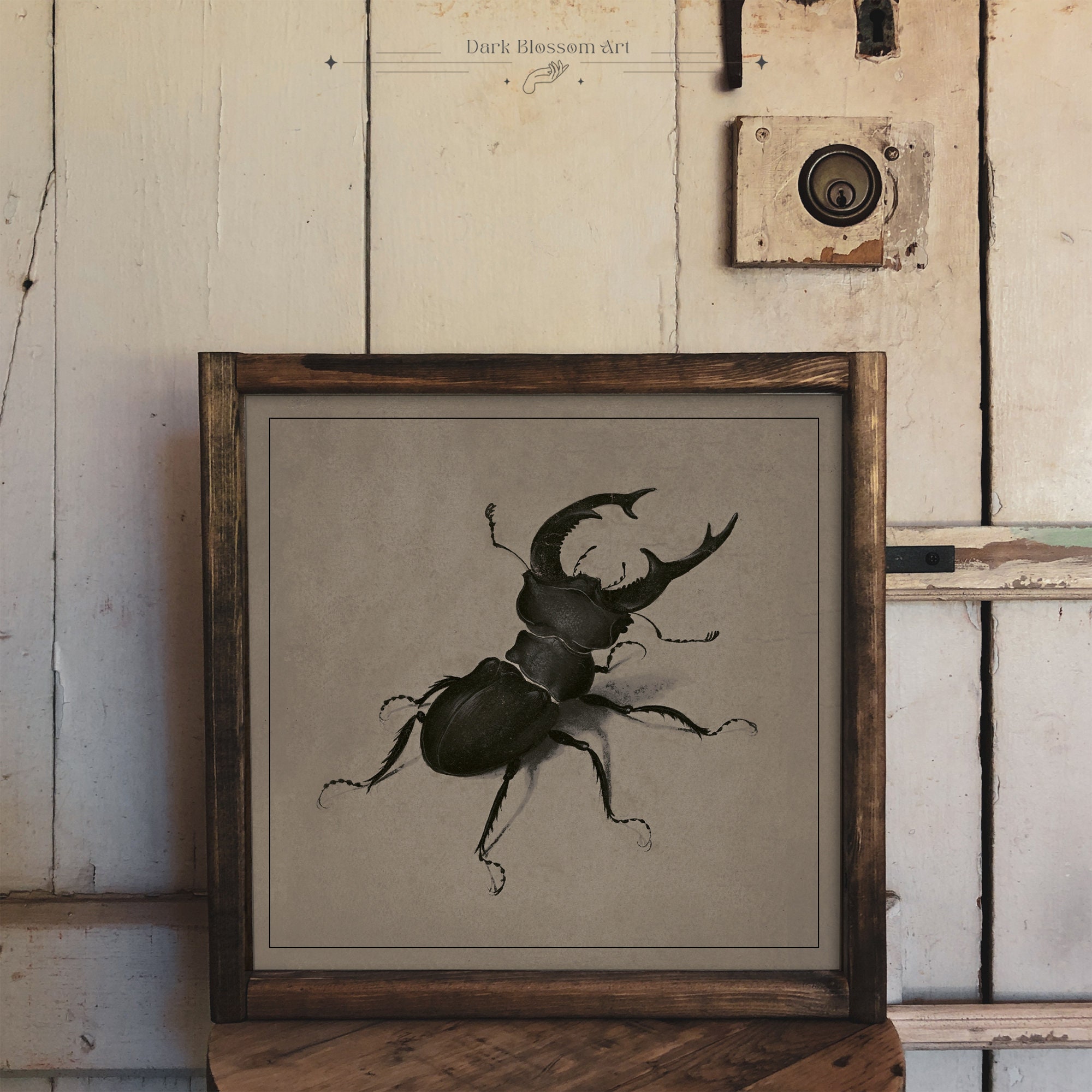 Antique Beetle Print, Stag Beetle, Insect Print, Vintage Art Print ...