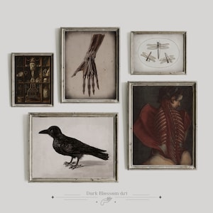 Gothic Gallery Wall, Set of 5 Prints, Anatomical Art Prints, Mycology, Dark Science, Black Raven, Cabinet of Curiosities, Dragonflies