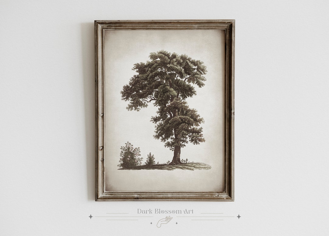 Vintage Tree Print, Cottagecore Art, Antique Art Print, Vintage